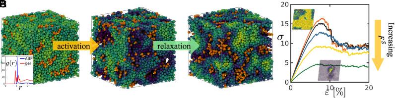 https://cdn.ncbi.nlm.nih.gov/pmc/blobs/1c98/11648656/7df3e8ab2b22/pnas.2407424121fig01.jpg