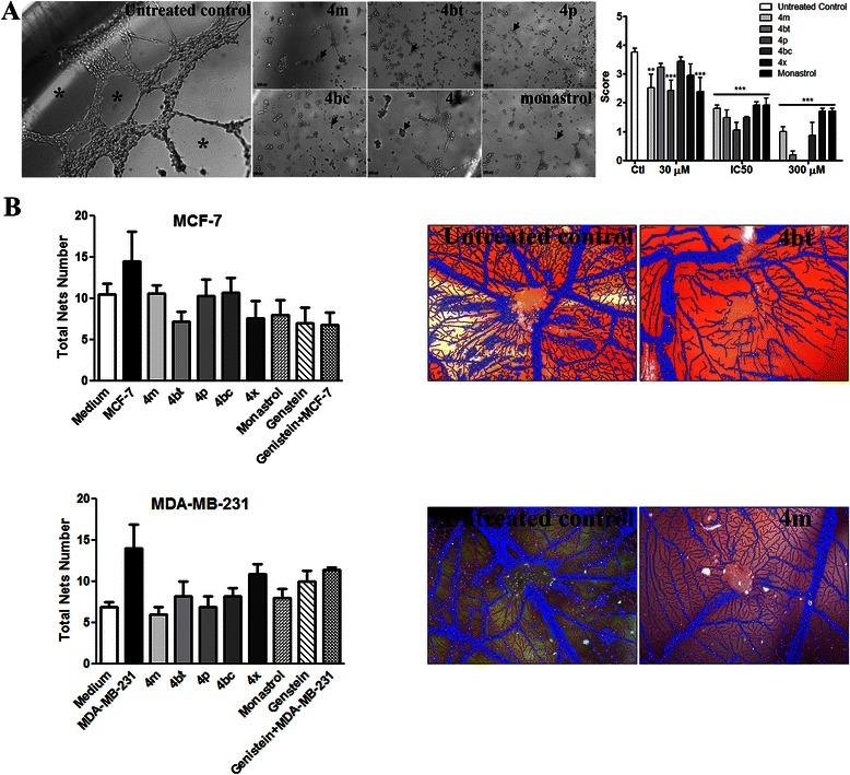https://cdn.ncbi.nlm.nih.gov/pmc/blobs/1c98/4411898/8fd7e23355aa/12885_2015_1274_Fig7_HTML.jpg