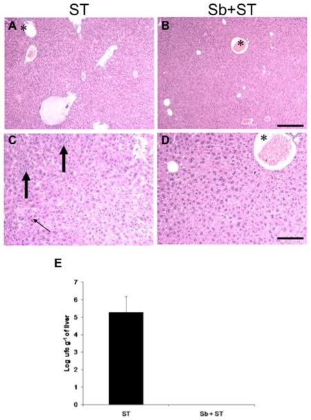 https://cdn.ncbi.nlm.nih.gov/pmc/blobs/1c9a/2811747/6e8b9fb7b1ae/pone.0008925.g003.jpg