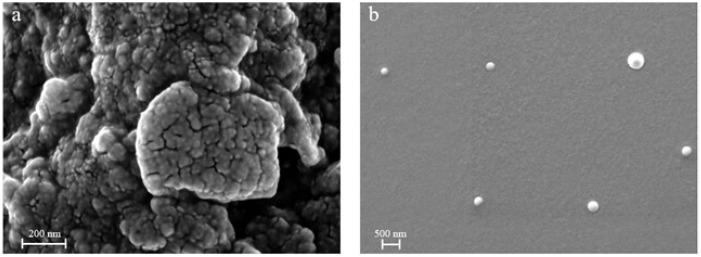 https://cdn.ncbi.nlm.nih.gov/pmc/blobs/1c9d/11768656/08312f578b05/pharmaceutics-17-00129-g002.jpg