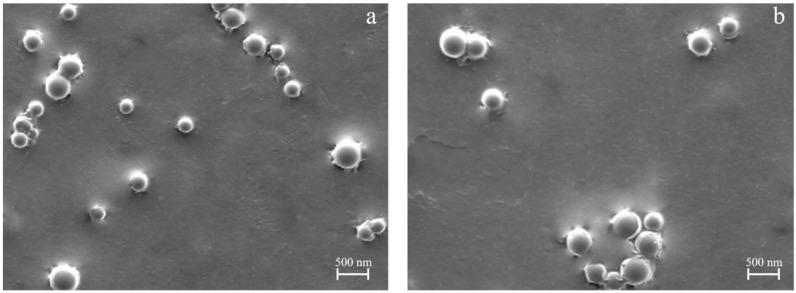 https://cdn.ncbi.nlm.nih.gov/pmc/blobs/1c9d/11768656/145f45c9adec/pharmaceutics-17-00129-g003.jpg