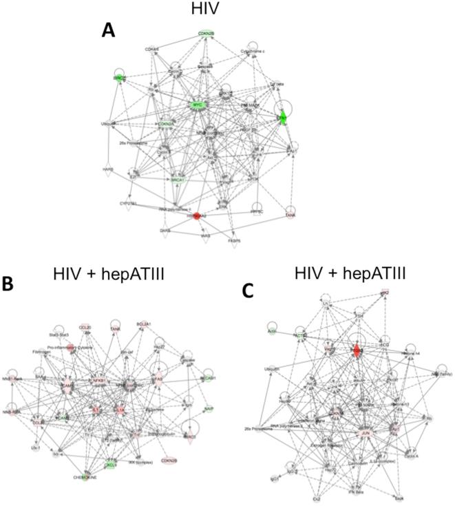 https://cdn.ncbi.nlm.nih.gov/pmc/blobs/1c9f/3075258/f62f678dc0a7/pone.0018589.g005.jpg