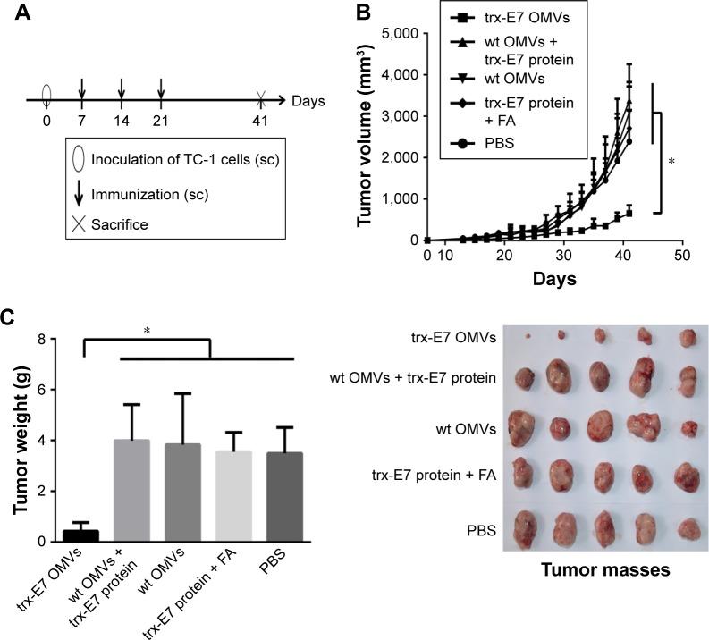 https://cdn.ncbi.nlm.nih.gov/pmc/blobs/1c9f/5602458/721b5e1a3147/ijn-12-6813Fig4.jpg