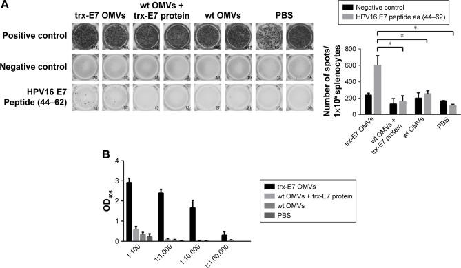 https://cdn.ncbi.nlm.nih.gov/pmc/blobs/1c9f/5602458/c211b51d62fd/ijn-12-6813Fig3.jpg