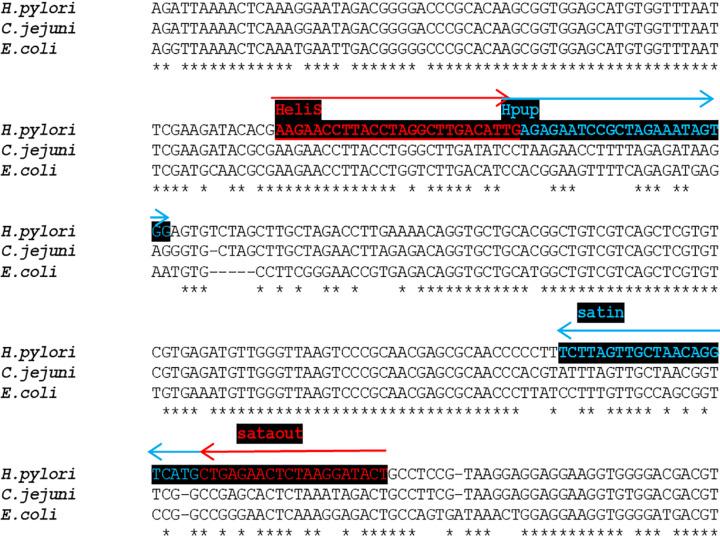 https://cdn.ncbi.nlm.nih.gov/pmc/blobs/1c9f/8613642/330c3610128c/WJG-27-7100-g002.jpg