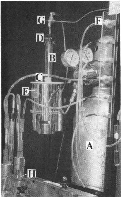 https://cdn.ncbi.nlm.nih.gov/pmc/blobs/1ca2/252139/c7a46712f4bd/jbacter00401-0417-a.jpg