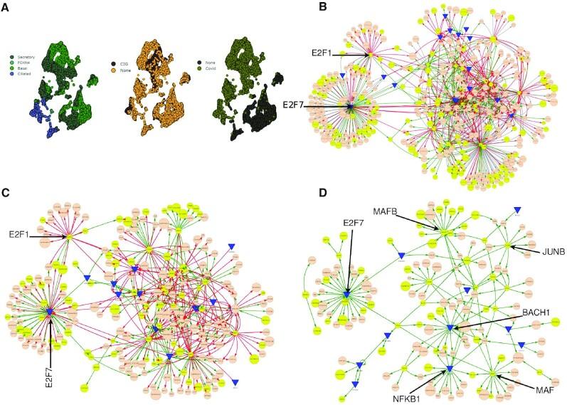 https://cdn.ncbi.nlm.nih.gov/pmc/blobs/1ca5/9985332/222824b9be6a/lqad018fig7.jpg