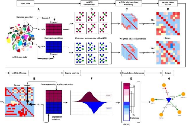 https://cdn.ncbi.nlm.nih.gov/pmc/blobs/1ca5/9985332/736536647b2f/lqad018fig1.jpg