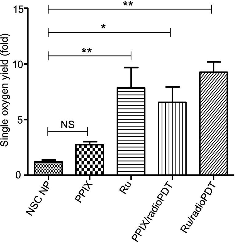 https://cdn.ncbi.nlm.nih.gov/pmc/blobs/1ca9/10494715/a37af2df9d34/fonc-13-1244709-g004.jpg