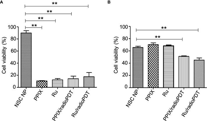 https://cdn.ncbi.nlm.nih.gov/pmc/blobs/1ca9/10494715/c6f5d395225c/fonc-13-1244709-g005.jpg