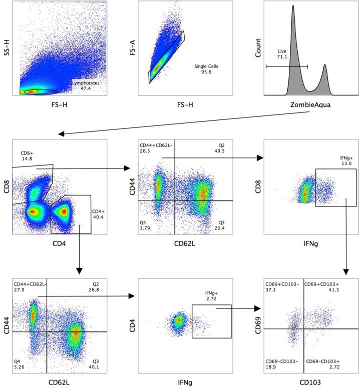 https://cdn.ncbi.nlm.nih.gov/pmc/blobs/1ca9/7313889/86607f4e8624/mmcfigs2_lrg.jpg