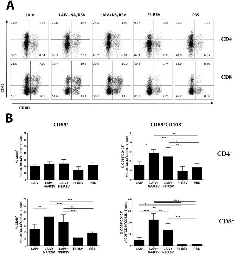 https://cdn.ncbi.nlm.nih.gov/pmc/blobs/1ca9/7313889/ed35a6195c90/gr3_lrg.jpg