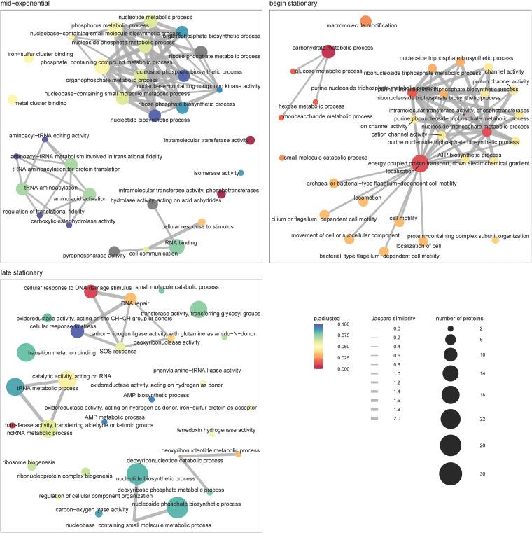 https://cdn.ncbi.nlm.nih.gov/pmc/blobs/1cac/8730811/6b87c4c466f2/msphere.00911-21-f002.jpg