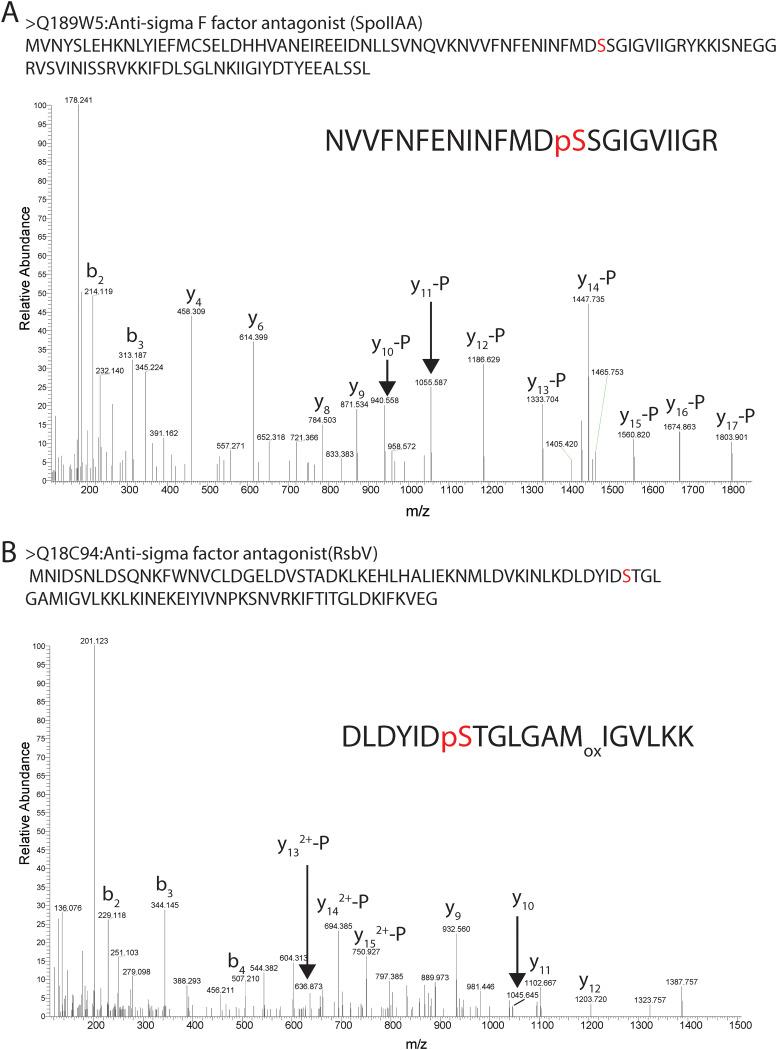 https://cdn.ncbi.nlm.nih.gov/pmc/blobs/1cac/8730811/f9e95ba9a7cc/msphere.00911-21-f003.jpg
