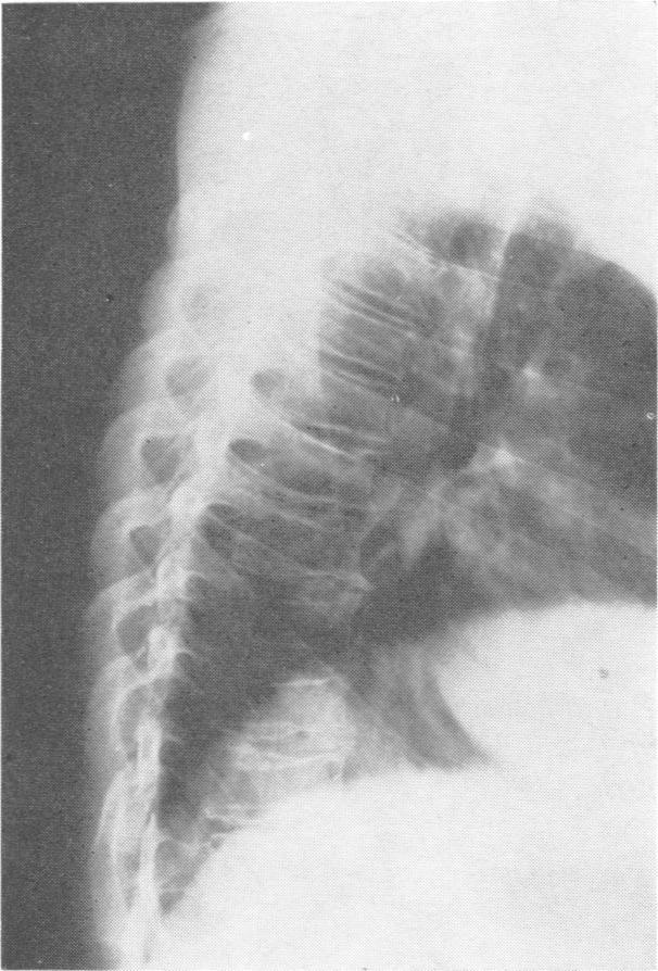 https://cdn.ncbi.nlm.nih.gov/pmc/blobs/1cad/1048867/818b7f47ae0c/jmedgene00113-0053-a.jpg