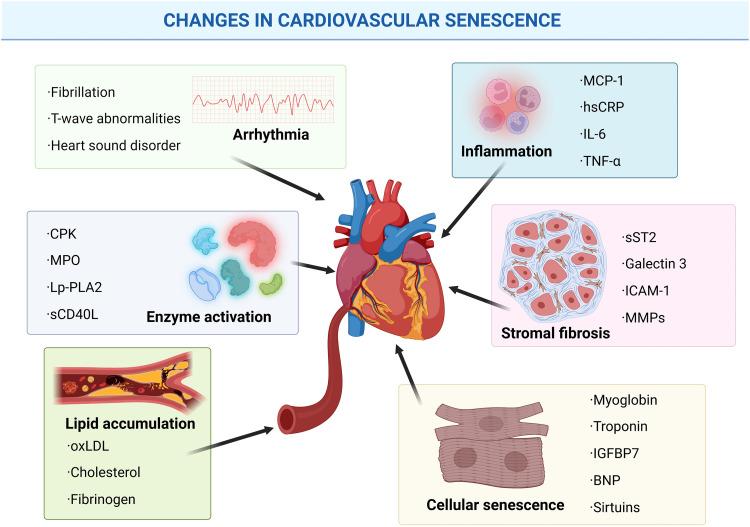 https://cdn.ncbi.nlm.nih.gov/pmc/blobs/1cad/11997494/d86196746bec/gr2.jpg