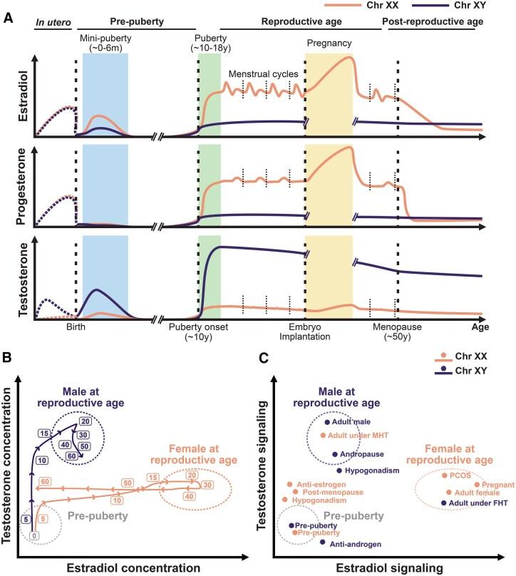 https://cdn.ncbi.nlm.nih.gov/pmc/blobs/1cae/12279299/914b1f68aade/iqaf006f2.jpg