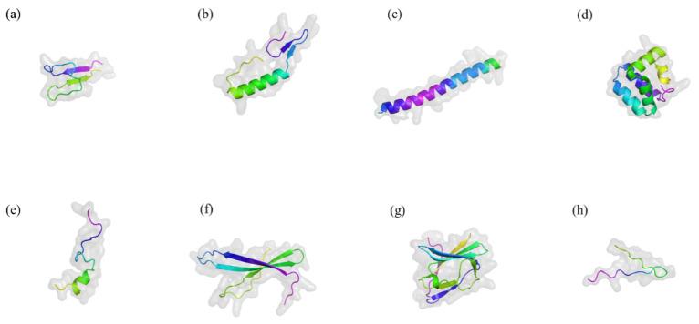 https://cdn.ncbi.nlm.nih.gov/pmc/blobs/1caf/12071495/a6fb8406365a/ijms-26-04124-g002.jpg