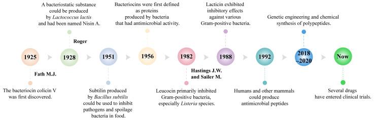 https://cdn.ncbi.nlm.nih.gov/pmc/blobs/1caf/12071495/bb92872bce58/ijms-26-04124-g001.jpg