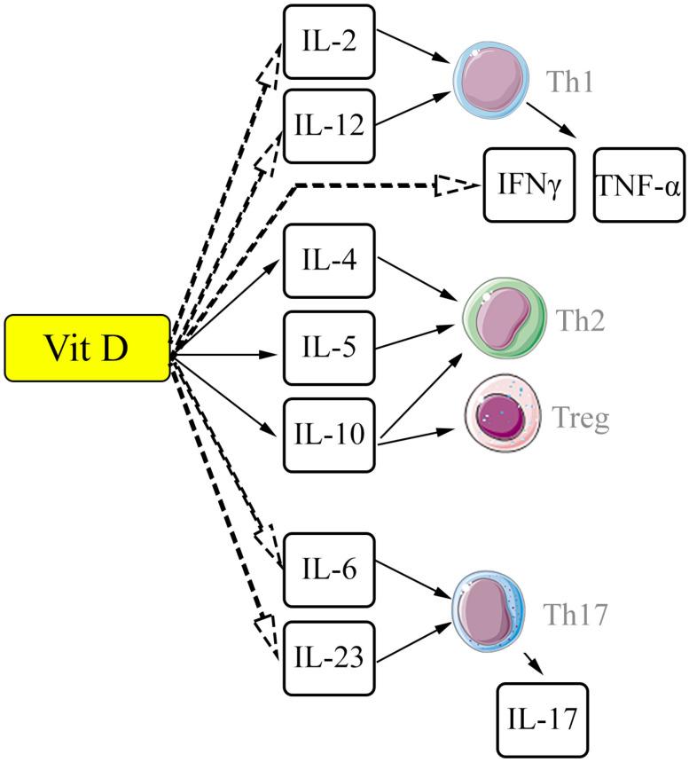 https://cdn.ncbi.nlm.nih.gov/pmc/blobs/1cb1/11355055/20b5411fe842/ijms-25-08946-g001.jpg