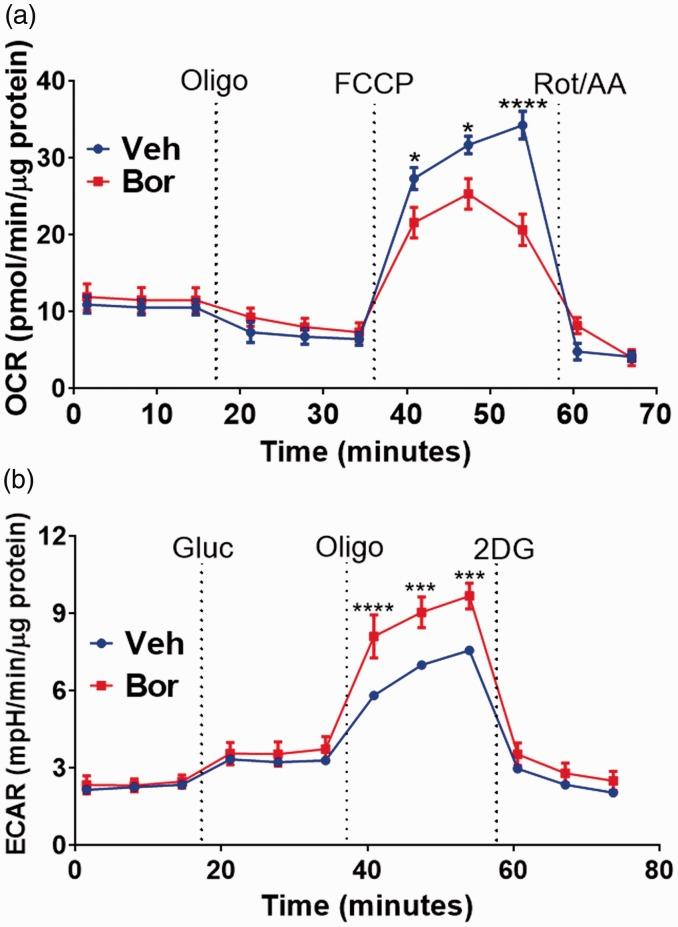 https://cdn.ncbi.nlm.nih.gov/pmc/blobs/1cb3/6452581/baf4c29a84ff/10.1177_1744806919837429-fig1.jpg