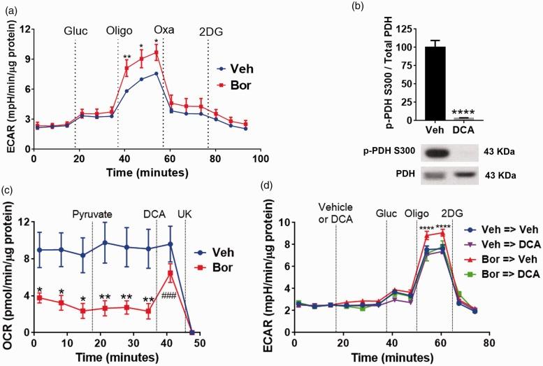 https://cdn.ncbi.nlm.nih.gov/pmc/blobs/1cb3/6452581/e611eb2c6264/10.1177_1744806919837429-fig3.jpg