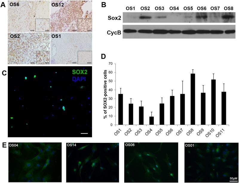 https://cdn.ncbi.nlm.nih.gov/pmc/blobs/1cb5/5608286/3c509e2308b4/pone.0184891.g001.jpg