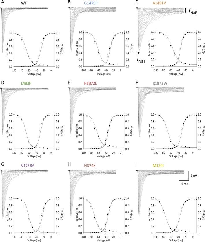 https://cdn.ncbi.nlm.nih.gov/pmc/blobs/1cb8/6689675/cb28a0e5fe31/ACN3-6-1445-g002.jpg