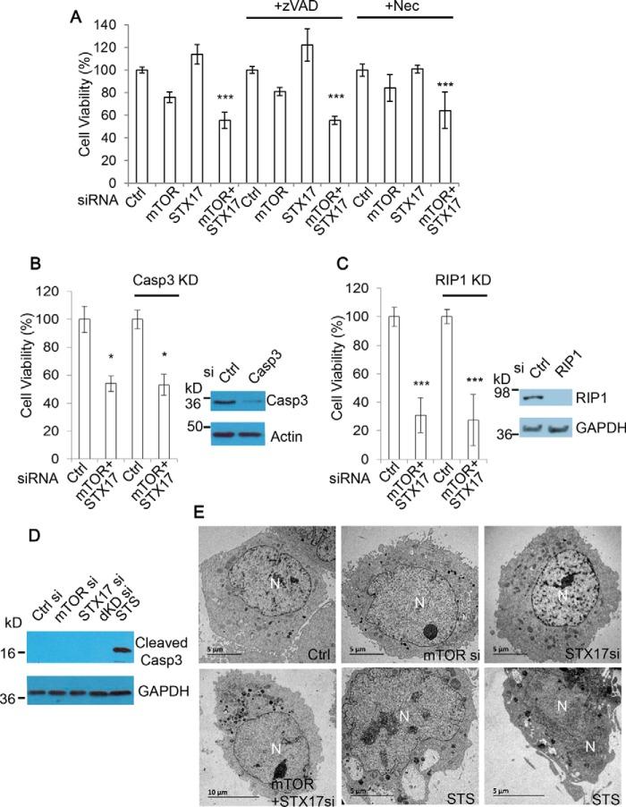 https://cdn.ncbi.nlm.nih.gov/pmc/blobs/1cbe/5566519/595ffe2979f0/zbc0361772130005.jpg