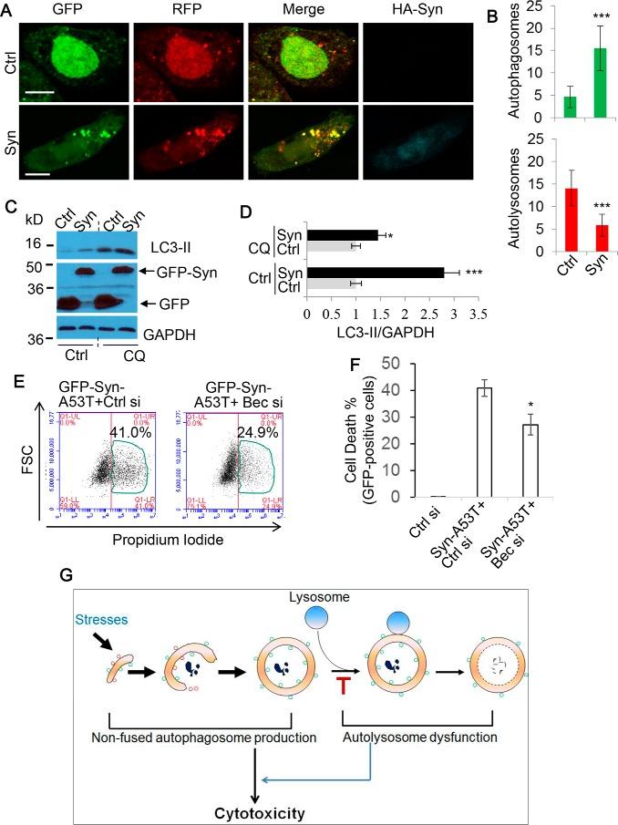 https://cdn.ncbi.nlm.nih.gov/pmc/blobs/1cbe/5566519/6aad20447ede/zbc0361772130008.jpg