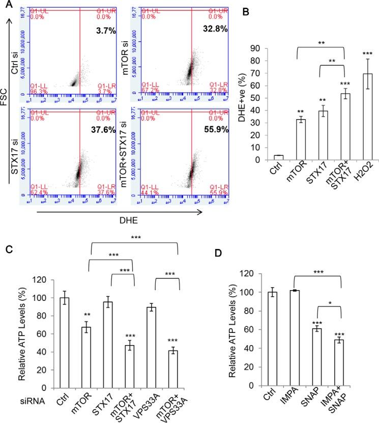 https://cdn.ncbi.nlm.nih.gov/pmc/blobs/1cbe/5566519/73596ad6e1b6/zbc0361772130006.jpg