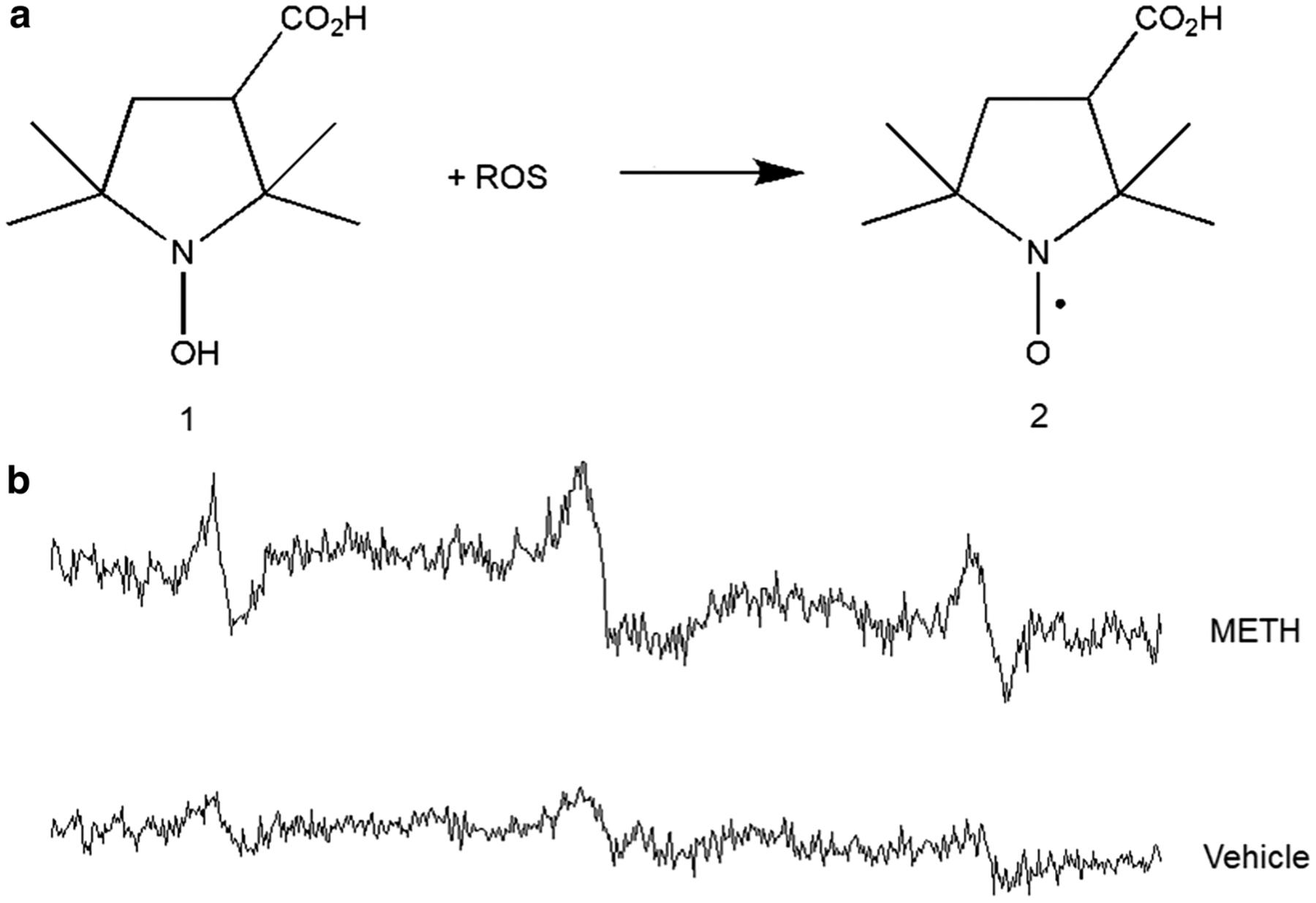 https://cdn.ncbi.nlm.nih.gov/pmc/blobs/1cbe/8945541/f114f57fb793/nihms-1738707-f0003.jpg