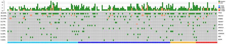 https://cdn.ncbi.nlm.nih.gov/pmc/blobs/1cc1/8109076/0a83768dd154/aging-13-202888-g001.jpg
