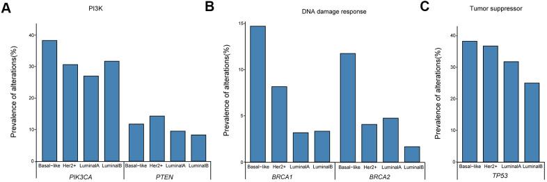 https://cdn.ncbi.nlm.nih.gov/pmc/blobs/1cc1/8109076/2e5947f13463/aging-13-202888-g003.jpg