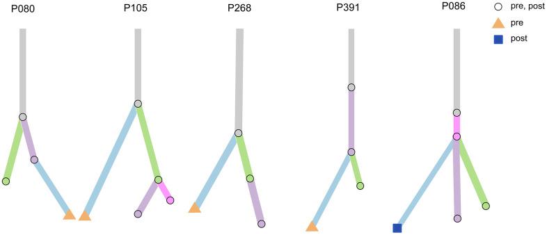https://cdn.ncbi.nlm.nih.gov/pmc/blobs/1cc1/8109076/b40c9626187d/aging-13-202888-g008.jpg