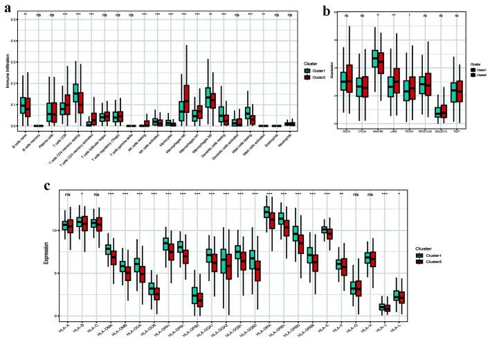 https://cdn.ncbi.nlm.nih.gov/pmc/blobs/1cc3/12339286/135b09894423/wjon-16-04-397-g005.jpg