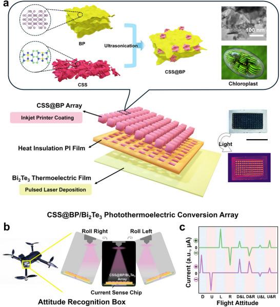 https://cdn.ncbi.nlm.nih.gov/pmc/blobs/1cc4/12061242/5913d1bc37c6/ADVS-12-2414438-g002.jpg