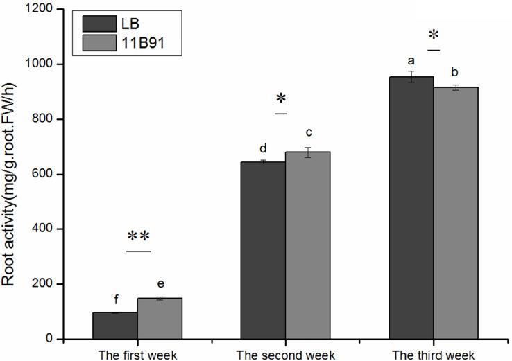 https://cdn.ncbi.nlm.nih.gov/pmc/blobs/1cc6/10460562/0ba86c2ec0a7/peerj-11-15925-g003.jpg