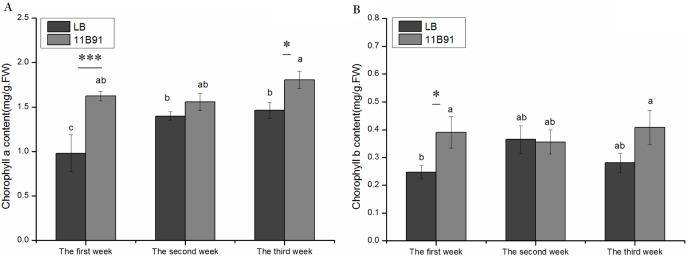 https://cdn.ncbi.nlm.nih.gov/pmc/blobs/1cc6/10460562/48478a5ad870/peerj-11-15925-g002.jpg