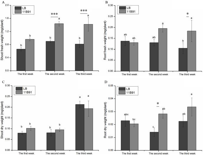 https://cdn.ncbi.nlm.nih.gov/pmc/blobs/1cc6/10460562/4ce57c89d529/peerj-11-15925-g001.jpg