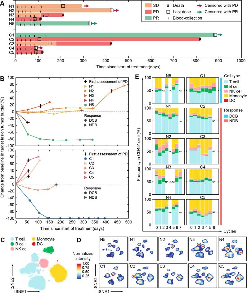 https://cdn.ncbi.nlm.nih.gov/pmc/blobs/1cc6/8804705/cd447e1c797f/jitc-2021-003133f04.jpg