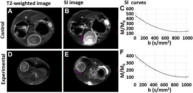 https://cdn.ncbi.nlm.nih.gov/pmc/blobs/1cc8/9597251/4515cec6a9a5/fphys-13-893925-g004.jpg
