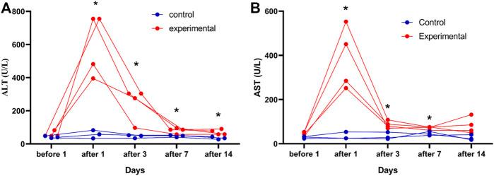 https://cdn.ncbi.nlm.nih.gov/pmc/blobs/1cc8/9597251/e7fca49bae57/fphys-13-893925-g006.jpg