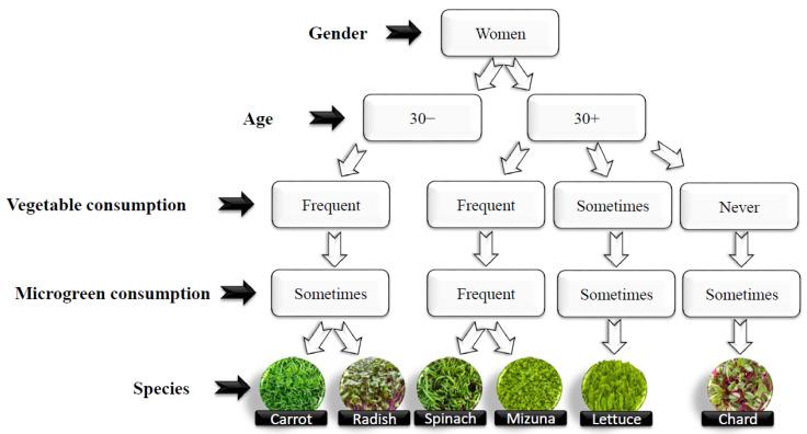 https://cdn.ncbi.nlm.nih.gov/pmc/blobs/1cc9/11479207/7502358bb14d/plants-13-02787-g002.jpg