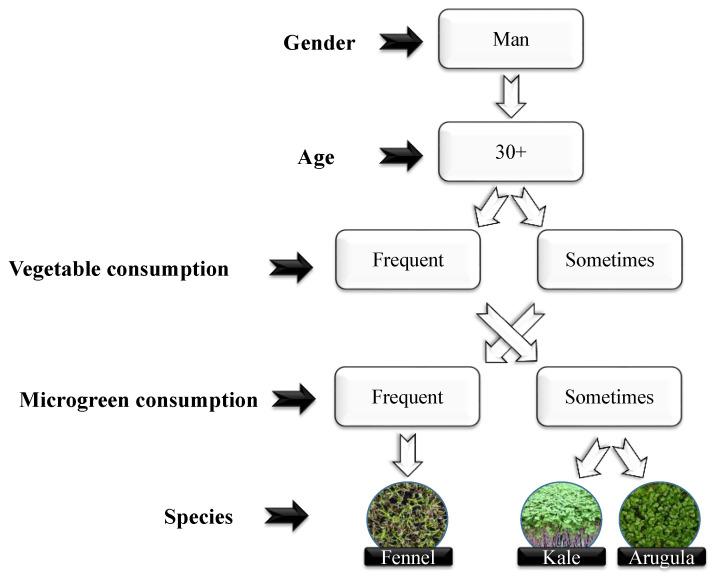 https://cdn.ncbi.nlm.nih.gov/pmc/blobs/1cc9/11479207/fbffc64a98ba/plants-13-02787-g003.jpg