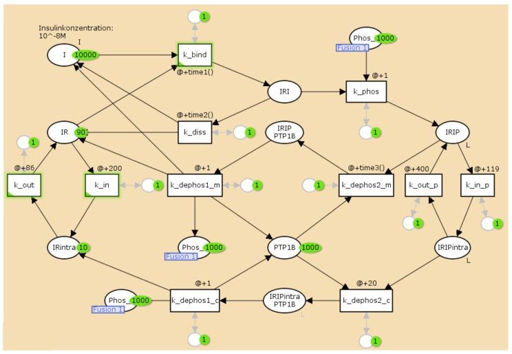 https://cdn.ncbi.nlm.nih.gov/pmc/blobs/1cc9/4693194/96de5c4e7ea9/metabolites-05-00766-g006.jpg