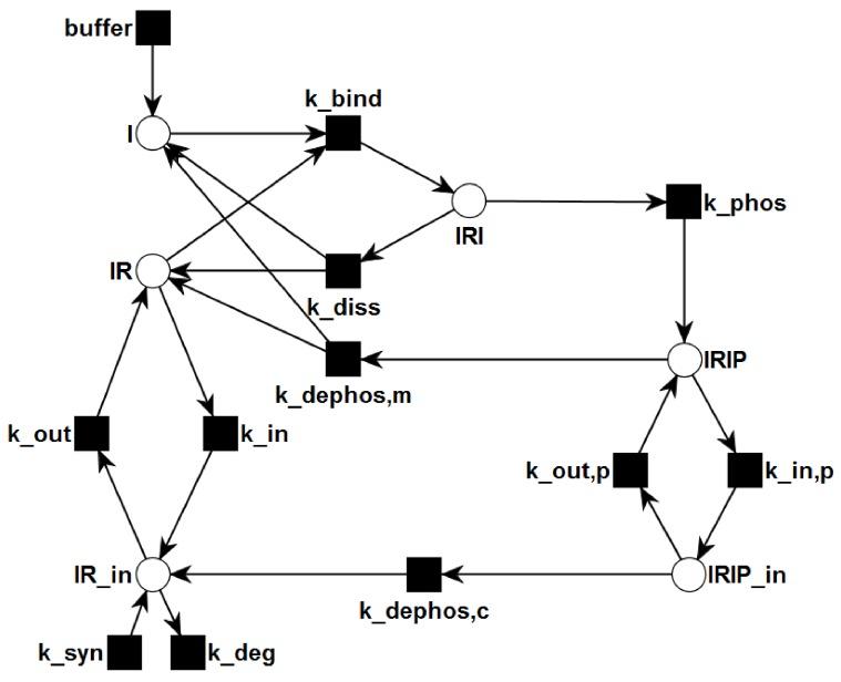 https://cdn.ncbi.nlm.nih.gov/pmc/blobs/1cc9/4693194/b875950f671a/metabolites-05-00766-g002.jpg