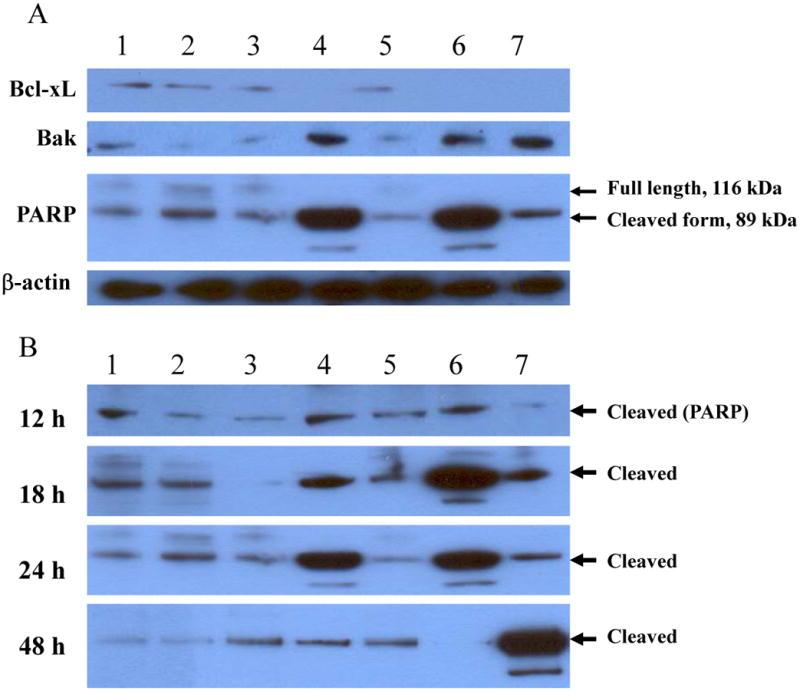 https://cdn.ncbi.nlm.nih.gov/pmc/blobs/1cca/3250063/bde4348120f0/nihms150323f5a.jpg