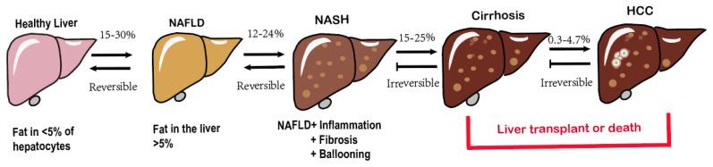 https://cdn.ncbi.nlm.nih.gov/pmc/blobs/1ccd/10750283/21932396ac0a/ijbsv20p0113g001.jpg