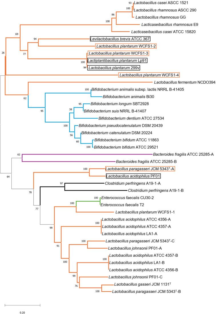 https://cdn.ncbi.nlm.nih.gov/pmc/blobs/1ccd/11907429/b28efb9fa986/kosfa-45-2-353-g3.jpg